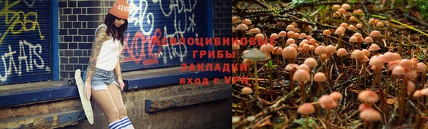 apvp Арсеньев