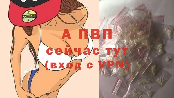 apvp Арсеньев