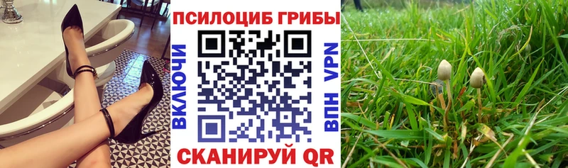 Галлюциногенные грибы GOLDEN TEACHER  Купить закладки  Верхняя Тура 